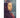 Museo Pietro Annigoni / Pietro Annigoni Museum