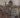 Firenze negli occhi dell’artista da Signorini a Rosai / From Signorini to Rosai Florence through the artist’s eyes