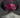 Il CAPPELLO  / THE HAT